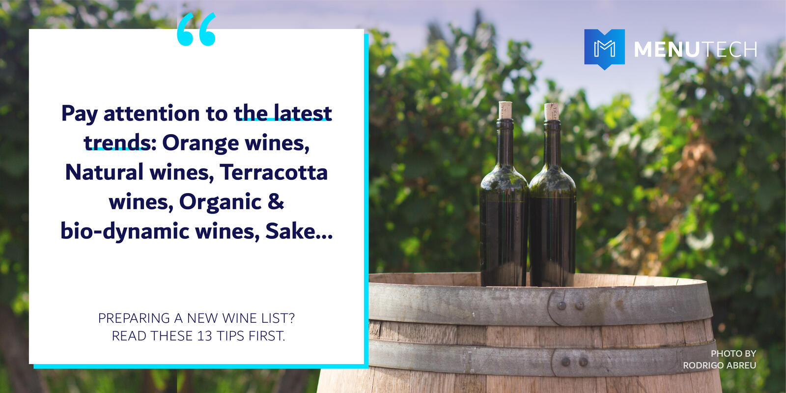 Orange wines, Natural wines, Terracotta wines, Organic & bio-dynamic wines, Sake Menutech Wine List